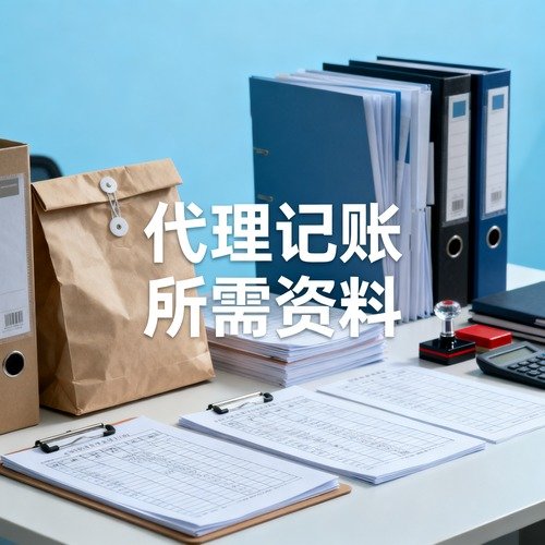 小规模代理记账需要提供什么资料